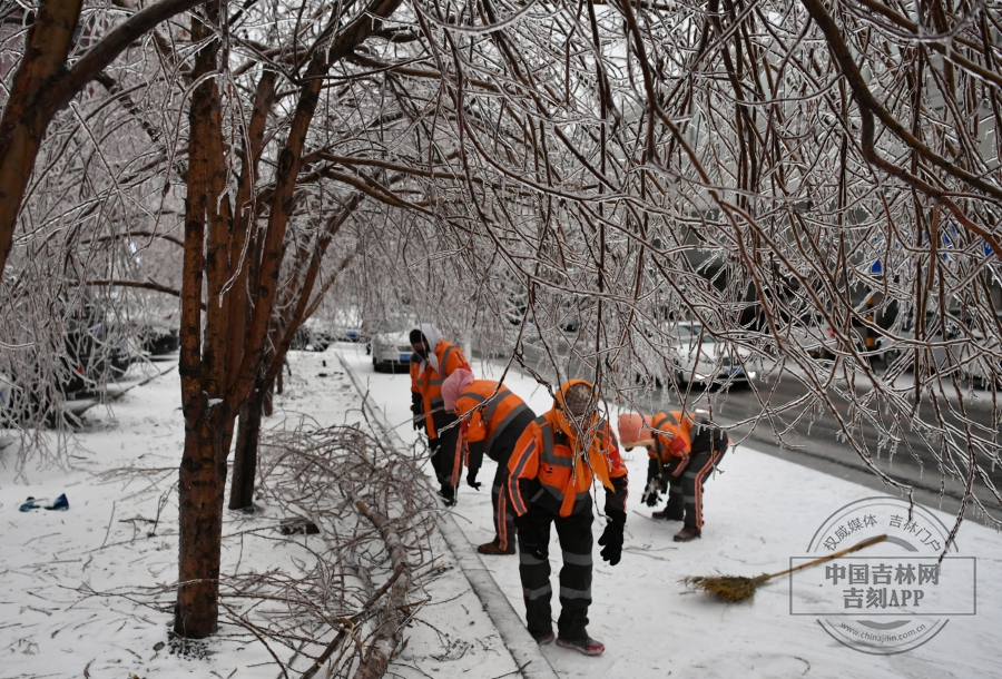 环卫工人徒手清理倒伏树枝。