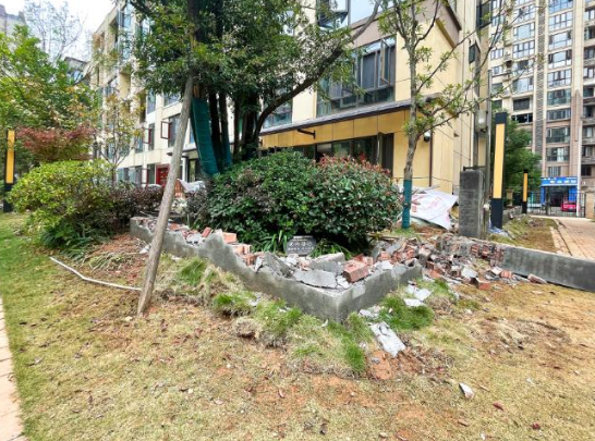 小区公共绿地成“私人领地”?其余业主:不能接受