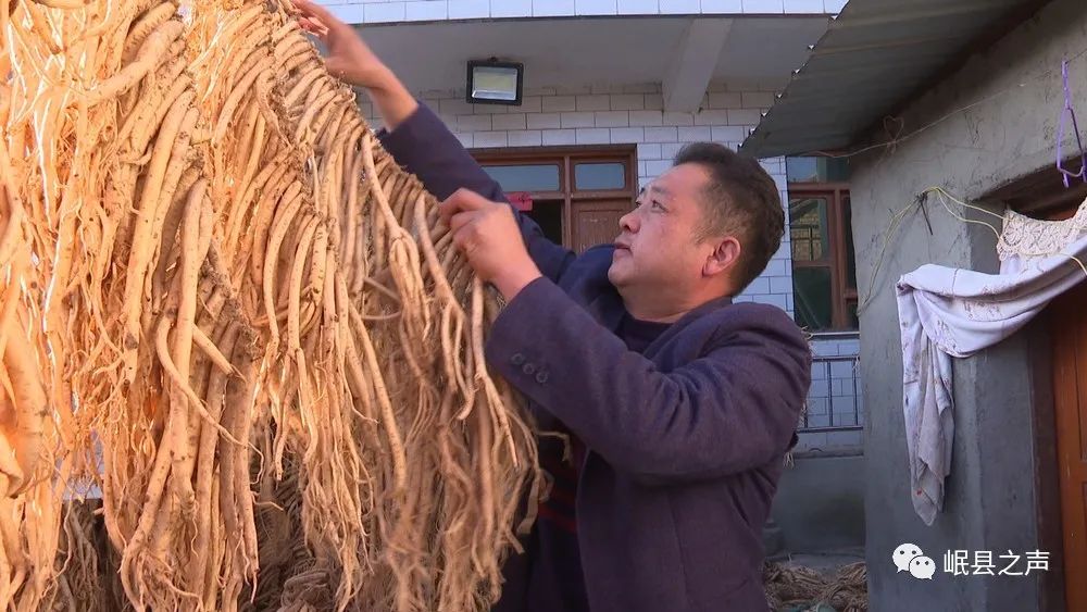 岷县：特色产业“种”出美好生活