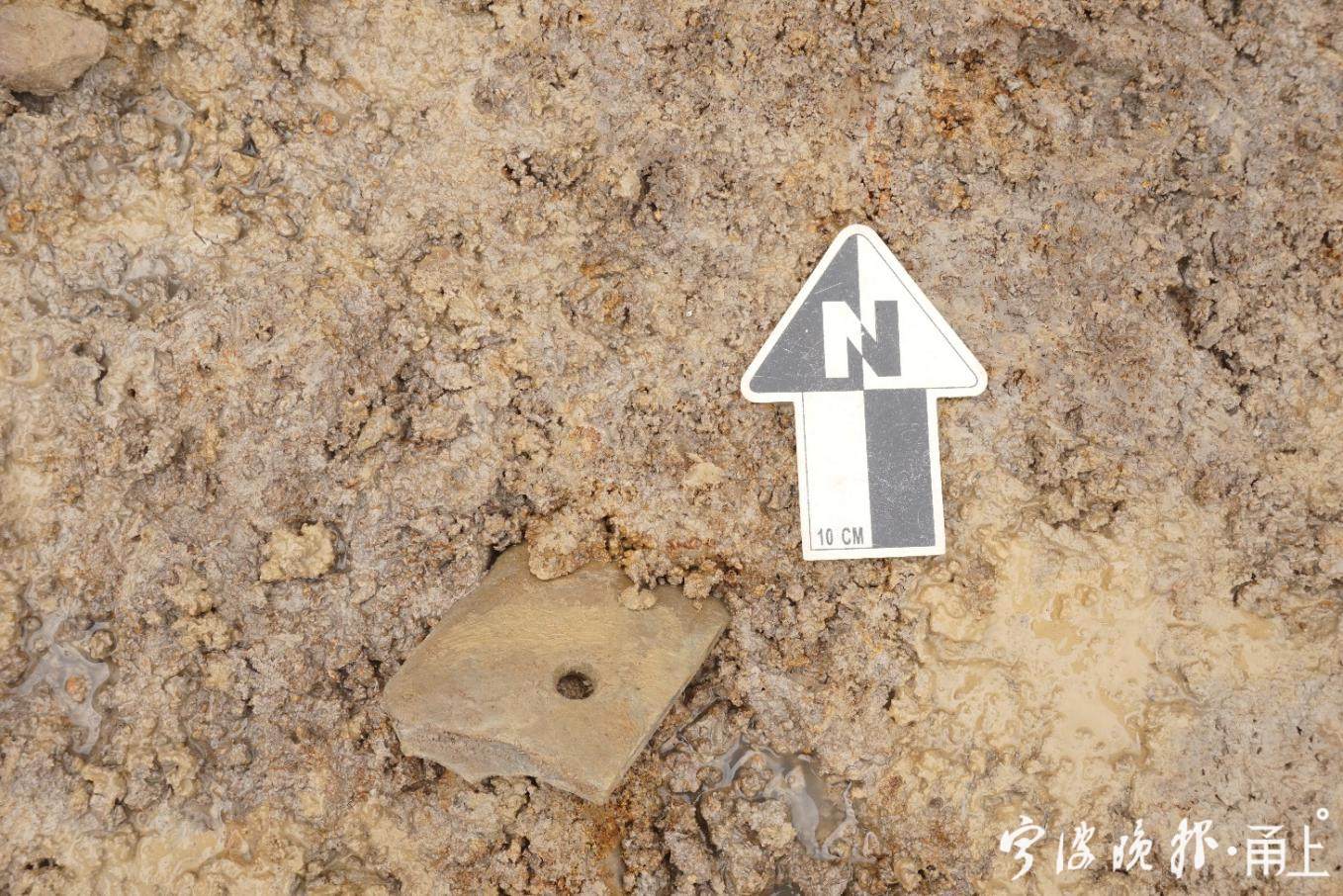 16  出土穿孔石刀.jpg