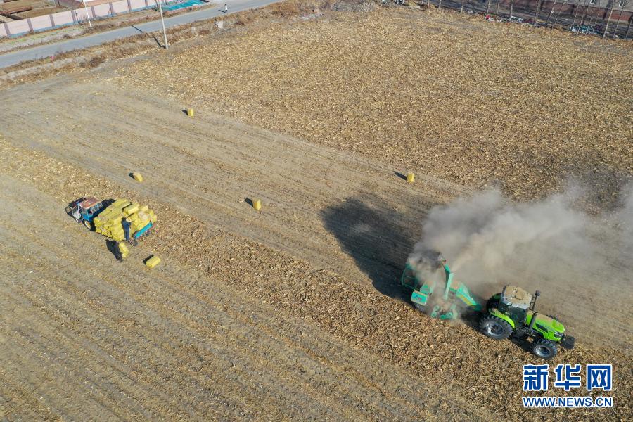 11月5日，在吉林省松原市宁江区善友镇团结村，农民在秋收后的农田上处理秸秆（无人机照片）。新华社记者 张楠 摄