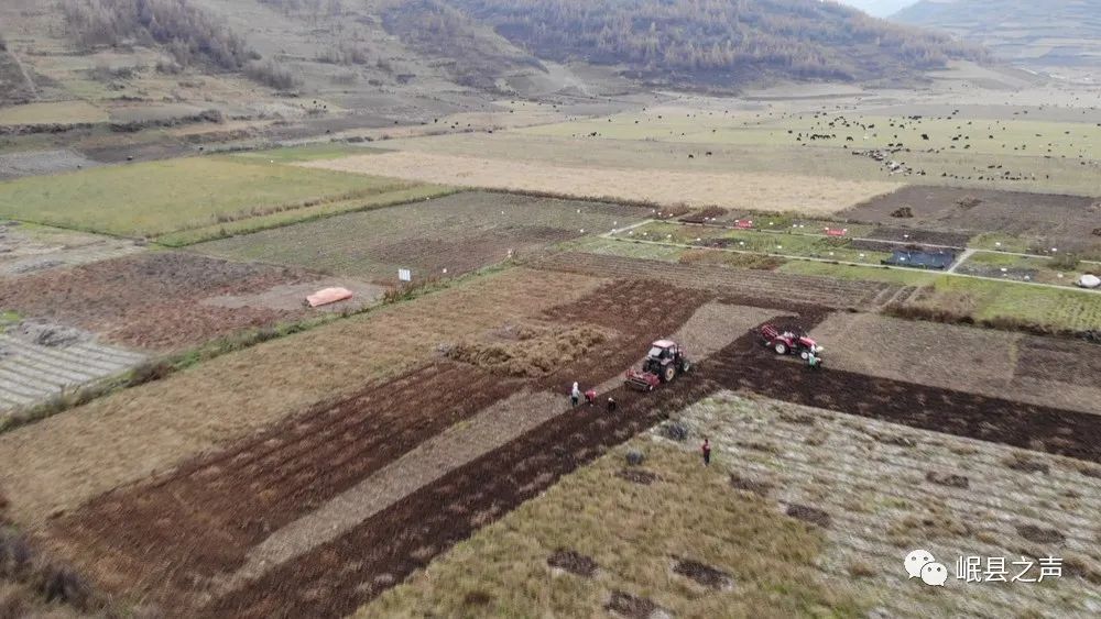 岷县：特色产业“种”出美好生活