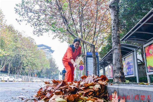 在汉口永清街，环卫工人称，当日上午她们就运了三车落叶