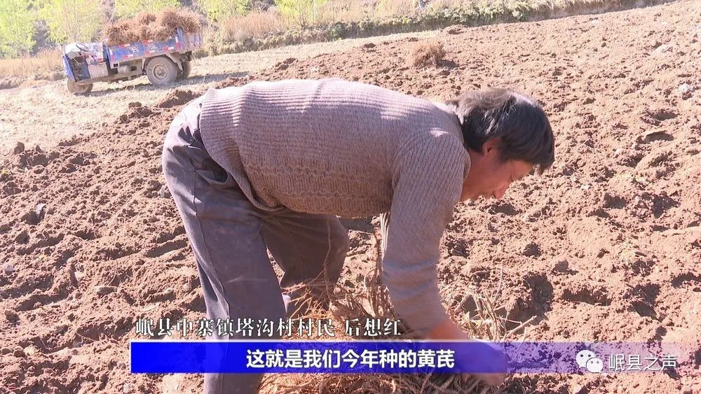 岷县：特色产业“种”出美好生活