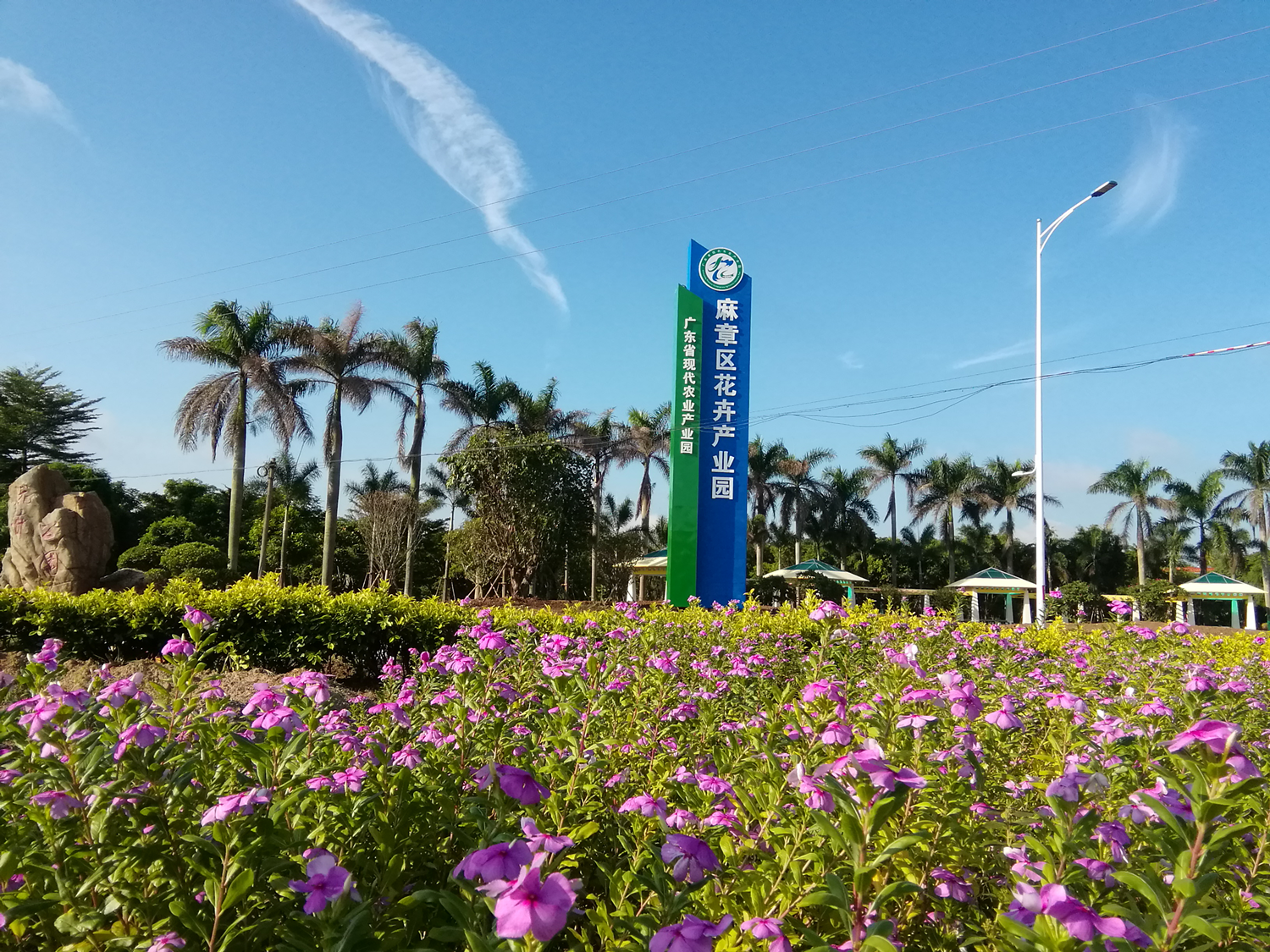 湛江市麻章区花卉省级现代农业产业园