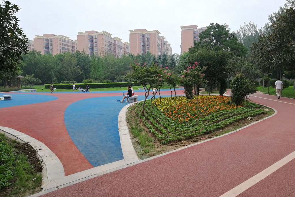 每天早晨或傍晚,在河南省鲁山县滨河公园,城望顶森林公园,前来健身