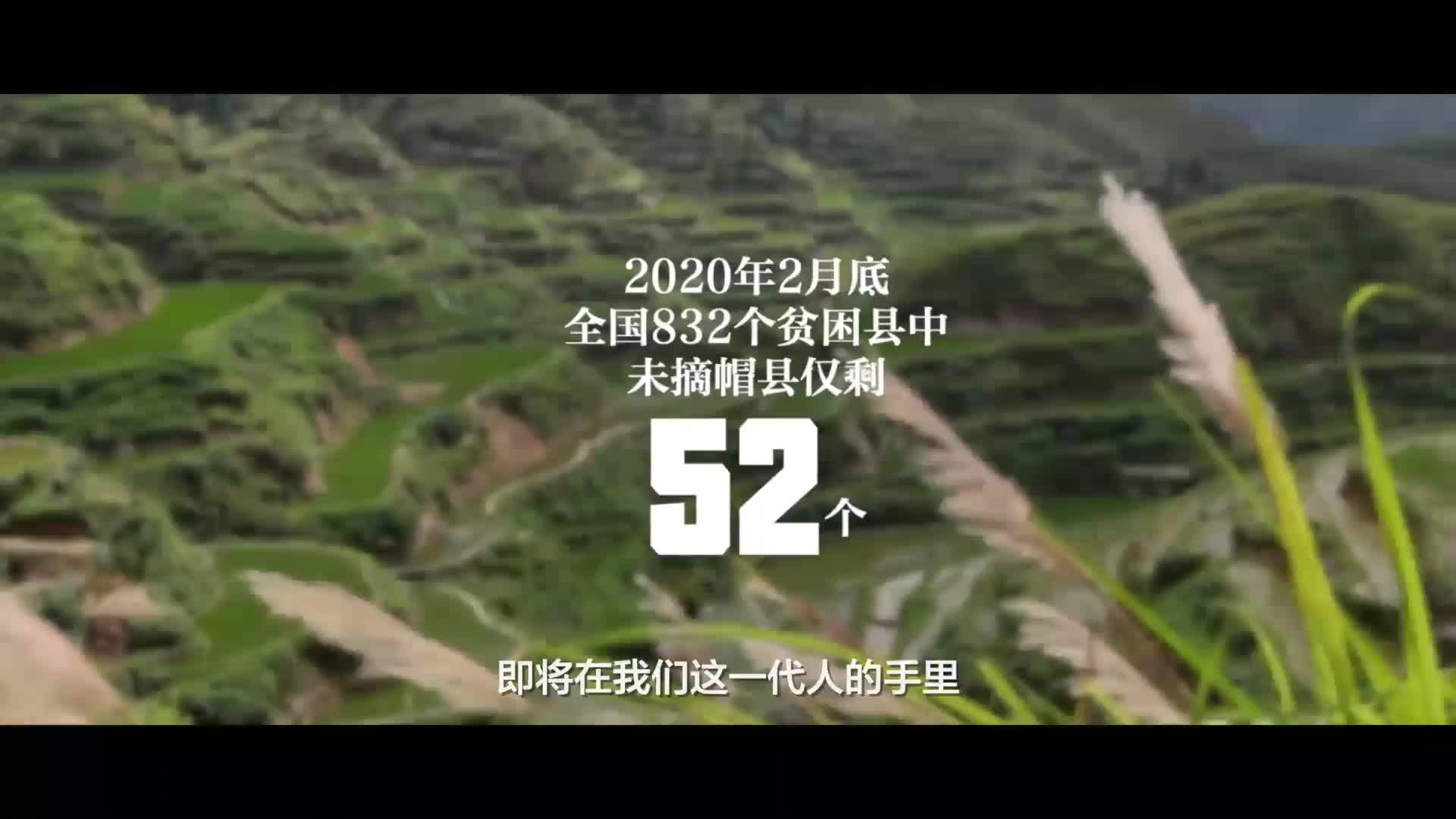 体育直播提供的最佳体育体验