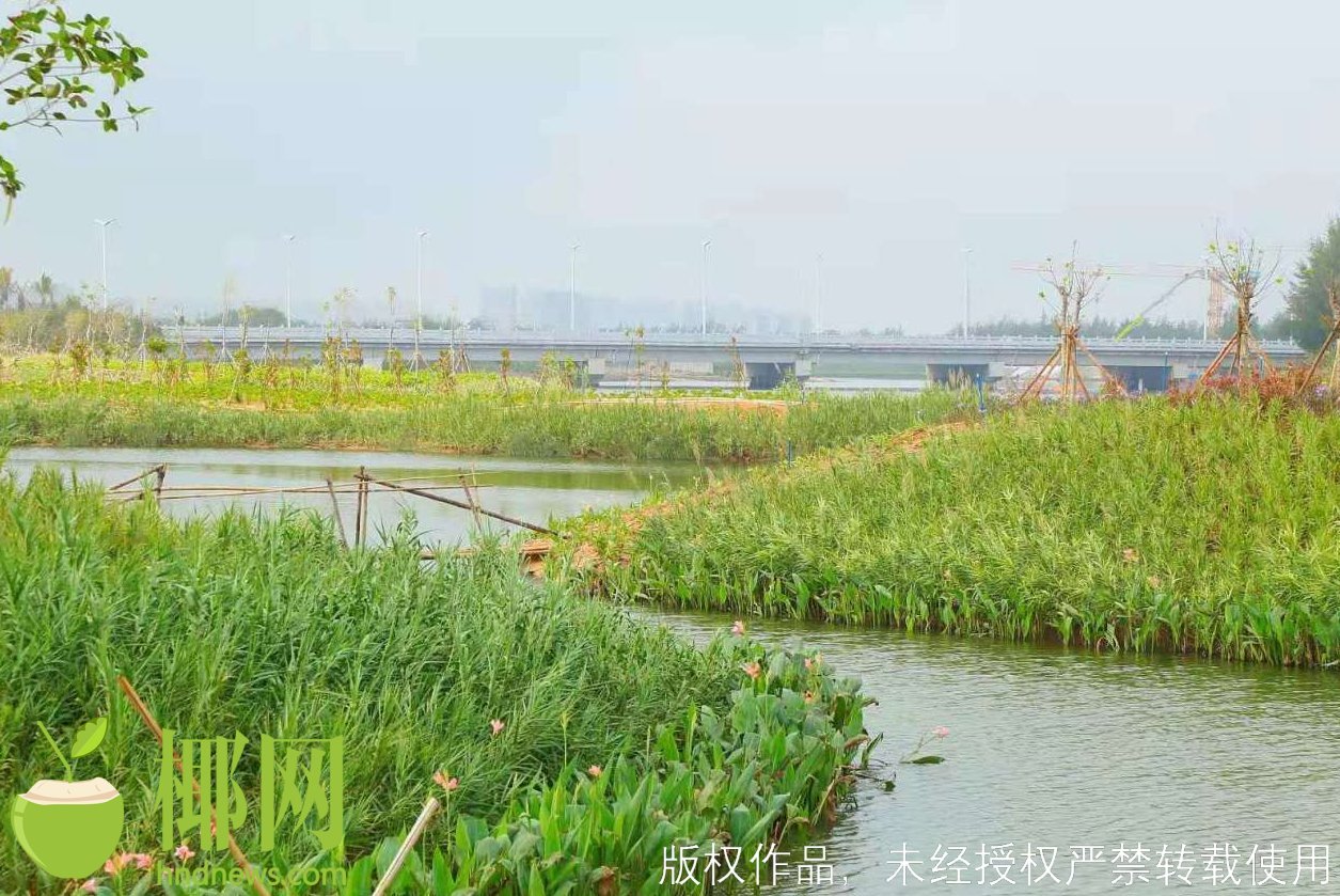 雅水人口_人口普查
