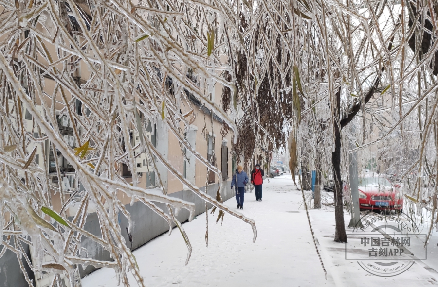 2020长春入冬的第一场雪。