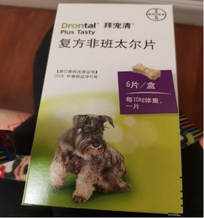 拜耳驅蟲vs犬心保,你站誰?鳳凰網遼寧_鳳凰網