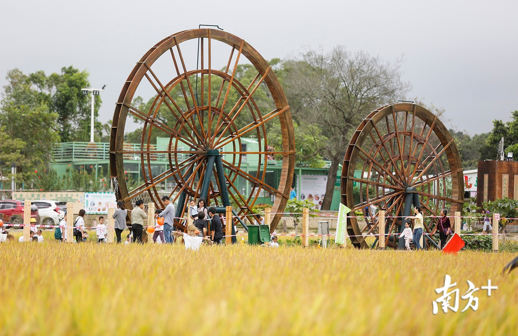 中山举办稻田音乐会以乡村旅游助力全域旅游
