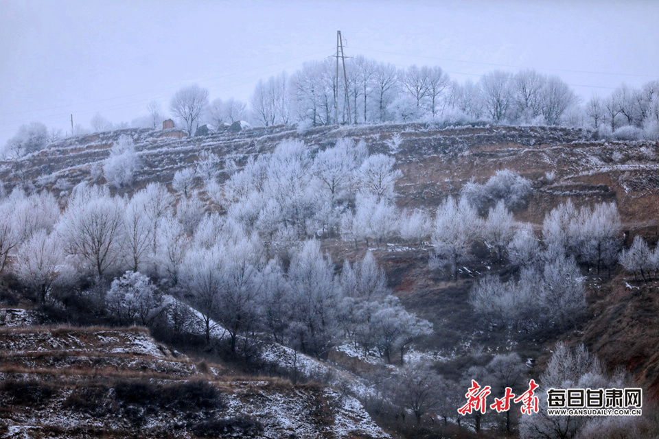 漳县大草滩乡现雾凇景观
