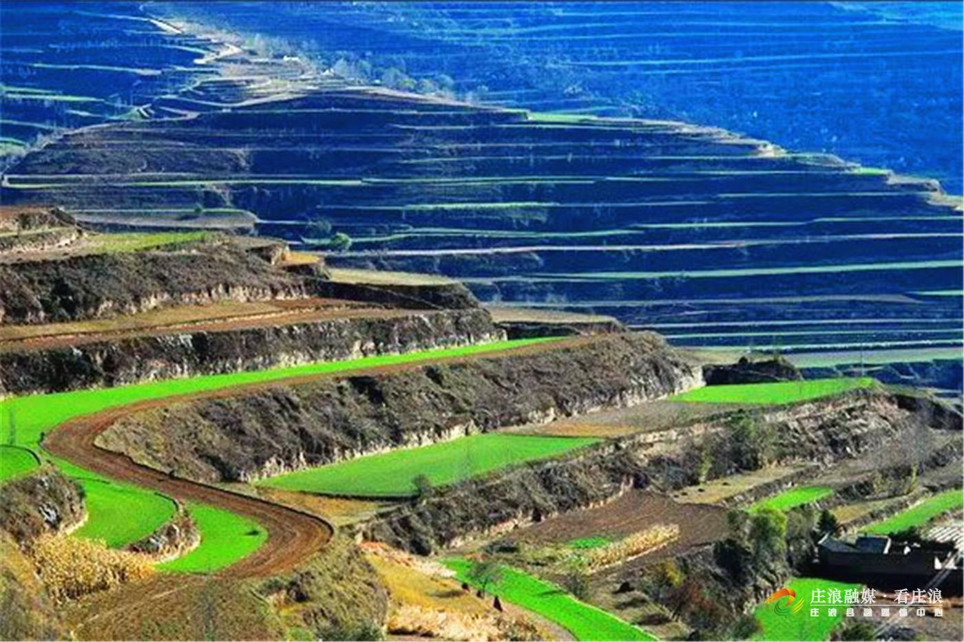 一层层梯田见证了庄浪人的“苦与乐”