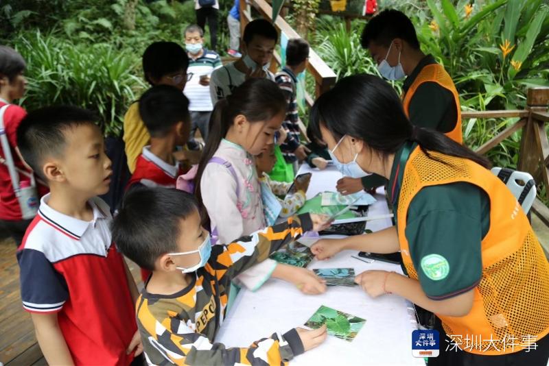 20多个打卡点亲近大自然，深圳盐田举行森林溪流自然嘉年华