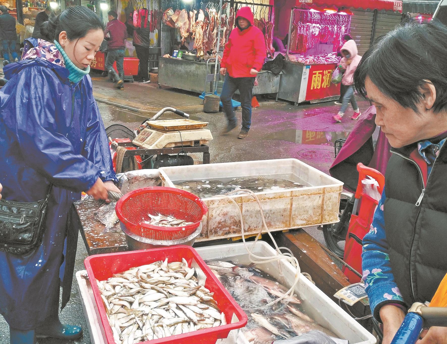 近日，汉阳郭茨口附近菜市场市民正选购小杂鱼