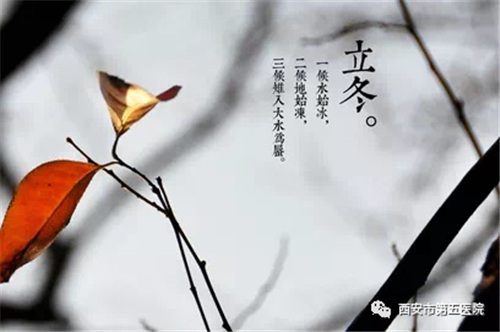 冬令进补三春打虎 究竟怎么补？立冬养生应该怎么补？