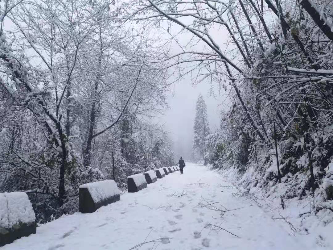 推荐重庆几大赏雪地 周末或又飘雪约起 - 重庆首页 -中国天气网
