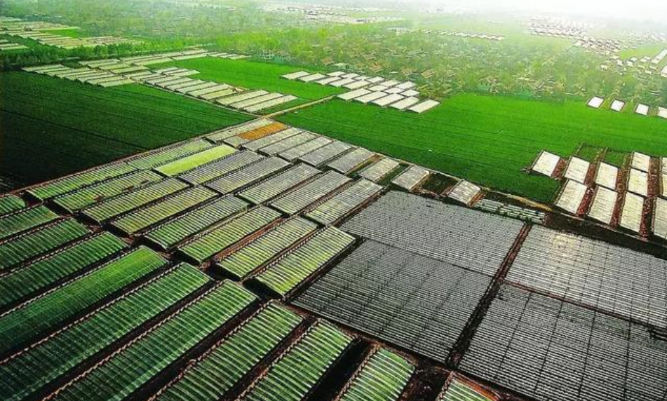 张建军数字经济如何加速农业农村的现代化