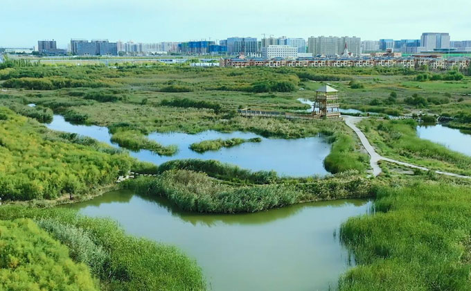 ‘液态阳光’是什么？为什么落地兰州新区？