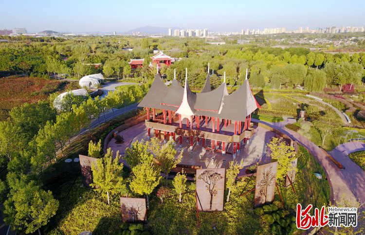 除了每个城市的展区外，园博园内还包括主题创意展园、地域风情展园、专类花园、京津冀特色植物园4个区域，均集中在南部展区。其中，主题创意展园包括海绵城市展园、康体养生展园、庭院景观展园以及童趣创意展园；地域风情展园包括欧洲园、闽台园、东南亚园以及江南园；专类花园包括月季园、秋菊园、紫薇园、耐阴植物园和药草园。园内绿地面积达1032亩，种植各种乔木6万余株、各类植物品种636种。开发区泰盛环境有限公司工作人员解馨瑜向记者介绍，目前园博园有70万平方米绿化面积，日常养护工作丝毫不能懈怠。100多名专业人员每日在园内进行绿化养护、修剪树木、浇水施肥等，努力为市民提供良好的游园环境。