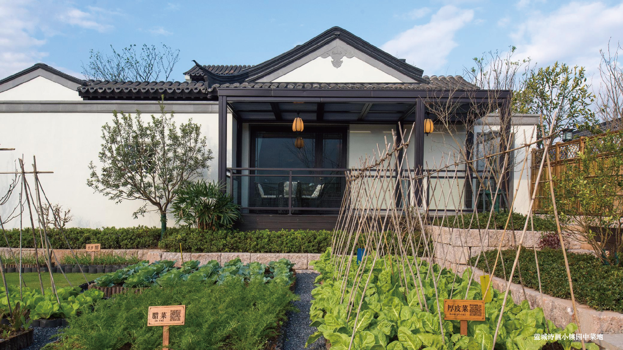 春风雅叙,共话江南:地产大v探秘,解锁蓝城小镇"源代码"