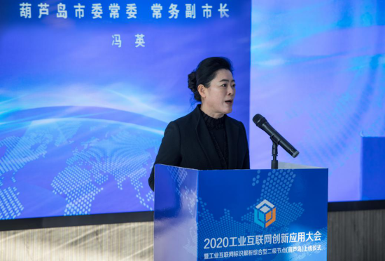 市工业和信息化局,葫芦岛市通信管理办公室,北京泰尔英福网络科技有