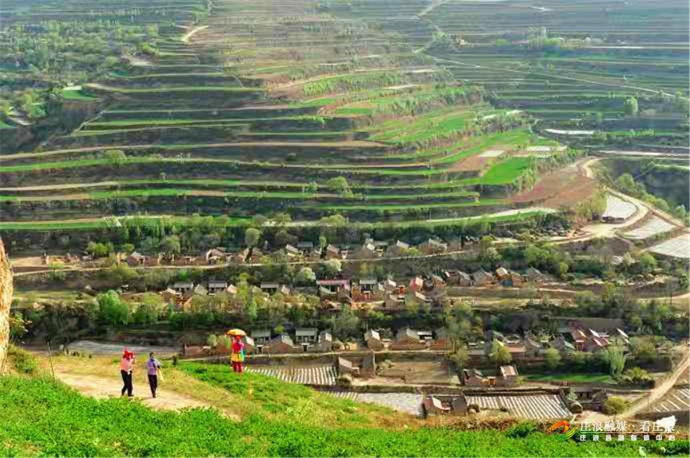 一层层梯田见证了庄浪人的“苦与乐”