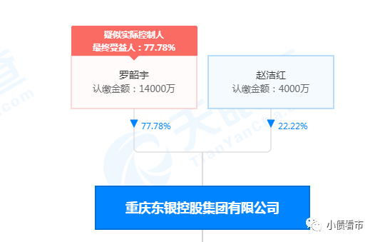 东银控股百亿债务危机 押宝“黑金”资金链断裂(图5)