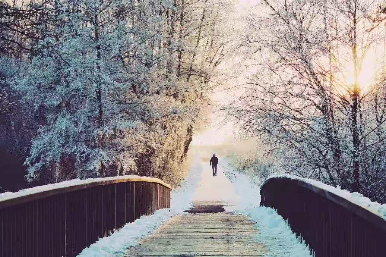 请问重庆的冬天会下雪吗 (请问重庆的冬天冷不冷)