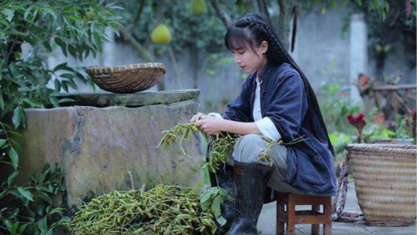 李子柒