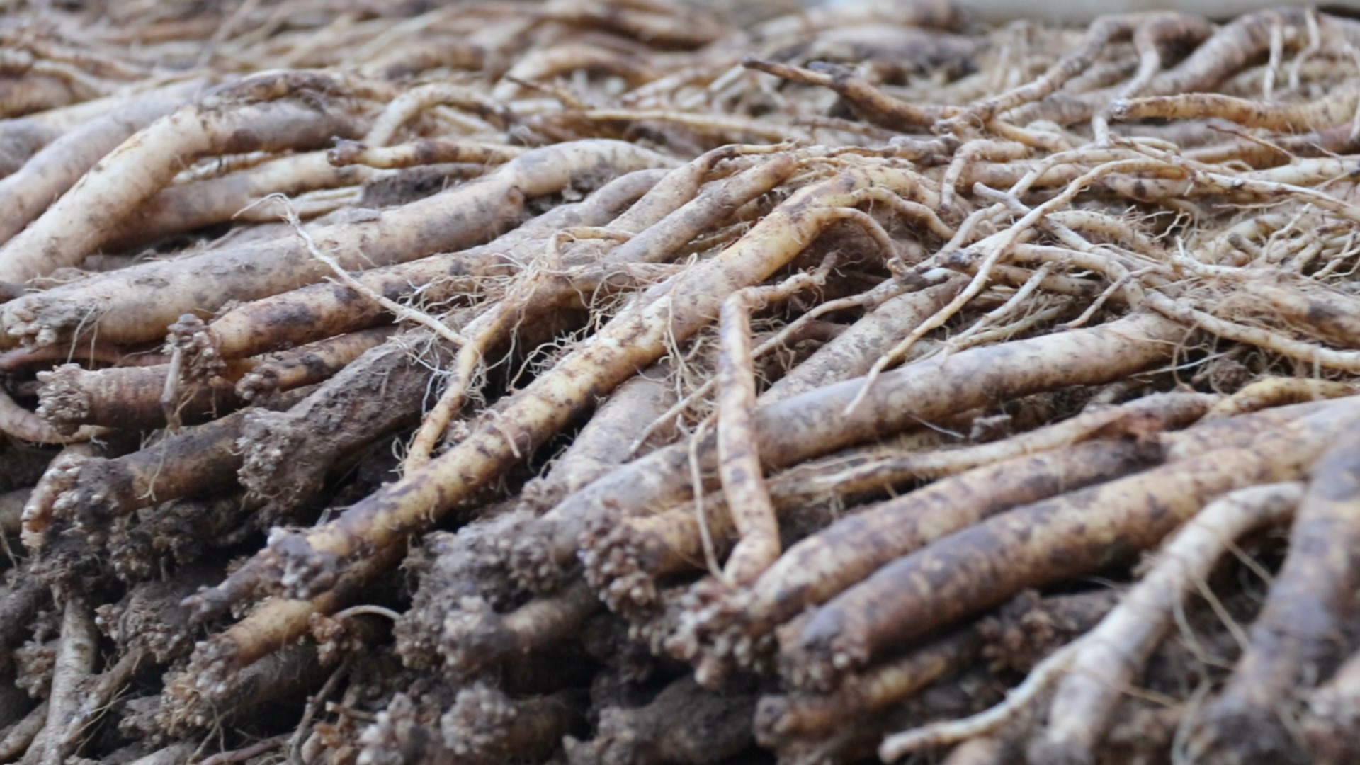 村美民富产业兴 美丽乡村入画来