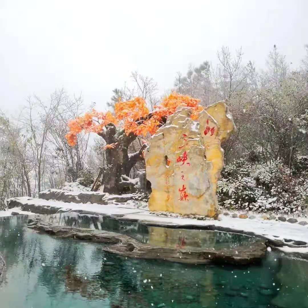 下雪了！下雪了！云阳多地迎来2020年冬天的第一场雪- 云阳网-云阳新闻-云阳县融媒体中心