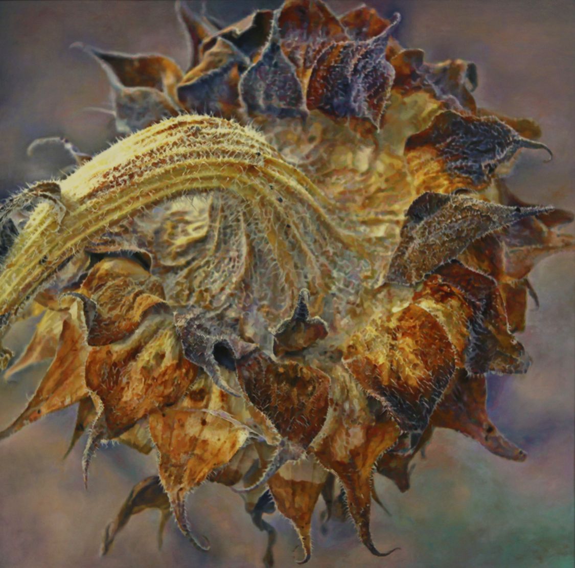 近日有幸采访到著名油画家赵军老师,赵军,男,汉族,1969年12月生.