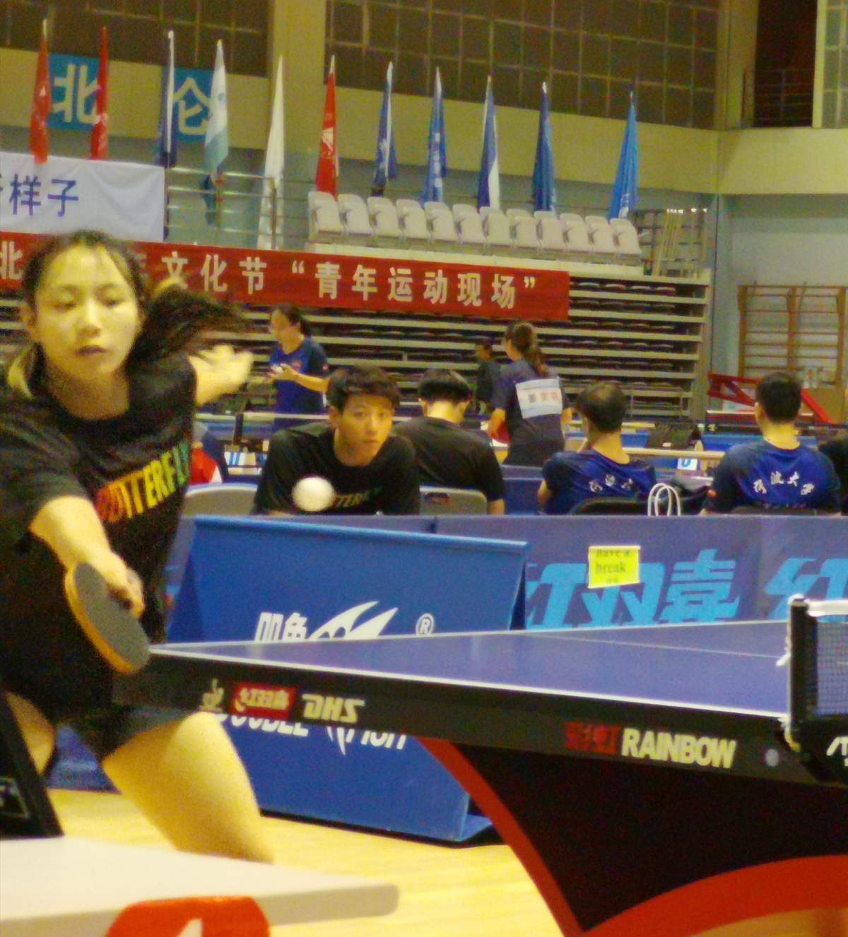 省大学生乒乓球赛3.jpg