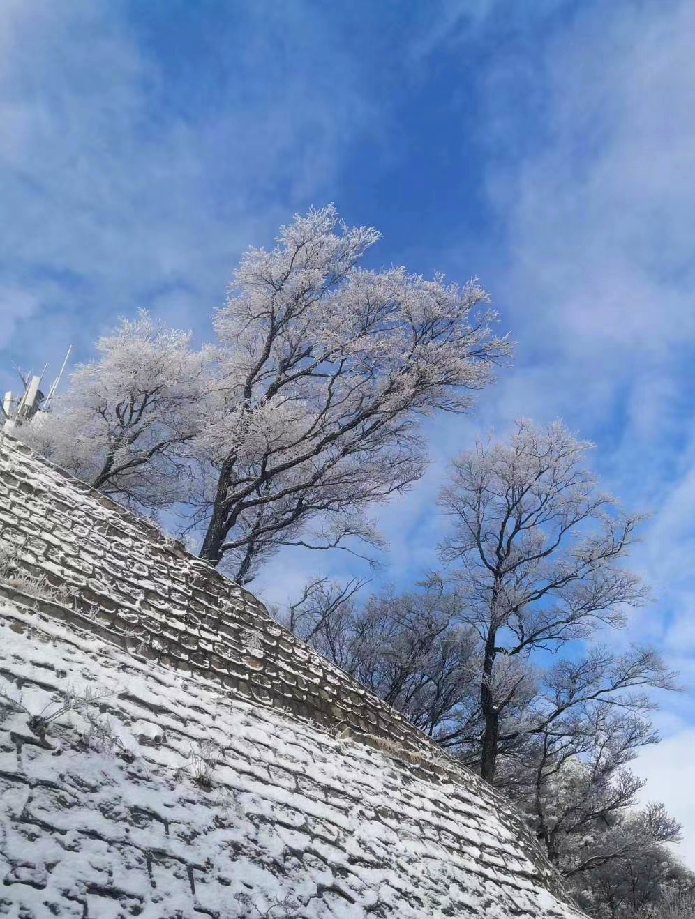 河南鲁山:雪景美如画