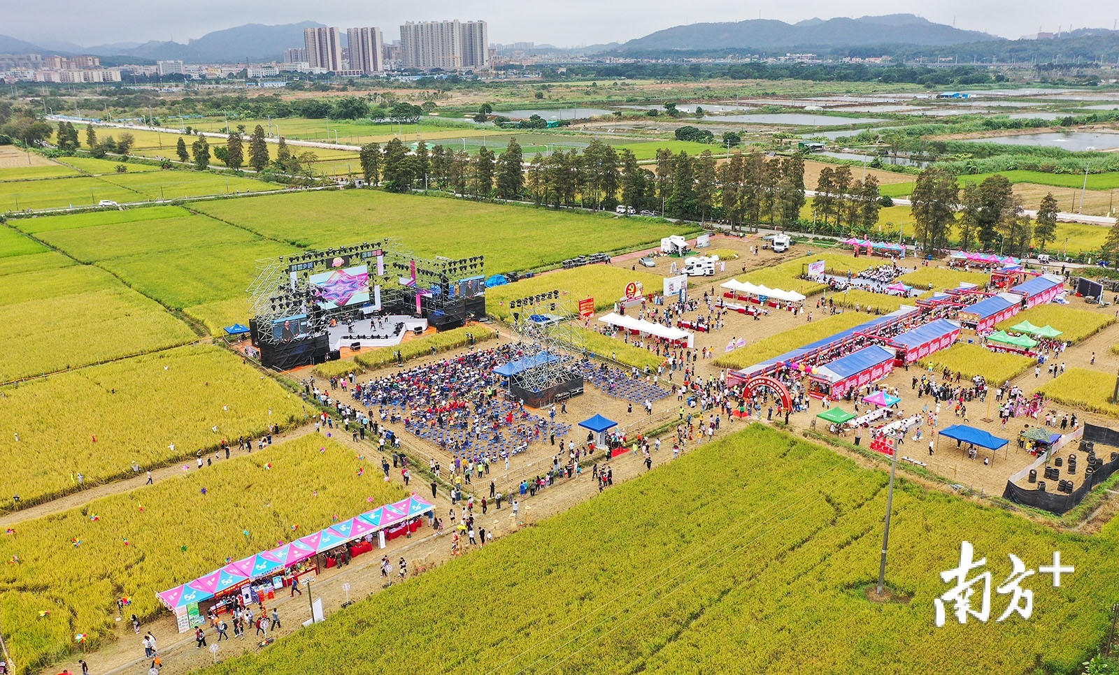 主舞台搭建在金黄色的稻田中.