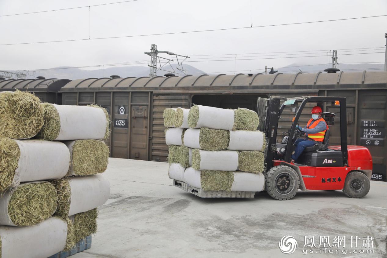 叉车将牧草“搬进”铁路车厢 宋佳龙 摄