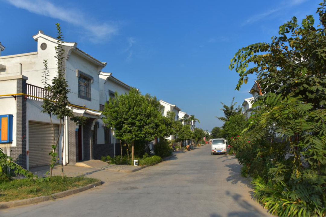文明花开——高陵区东樊村创建市级文明村镇纪实