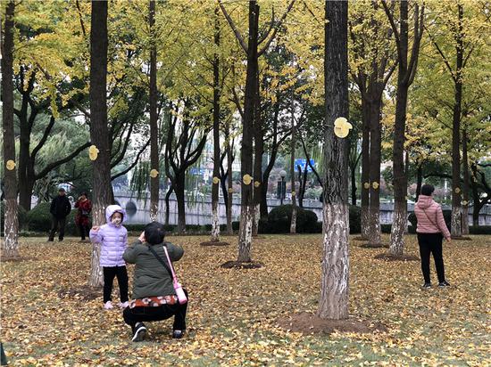 民众在院士林内拍照。林波 摄