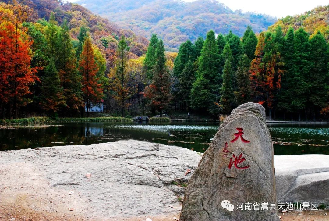 名洛陽第四批支援湖北3月17日對全國醫護工作者免費開放白雲山,天池山