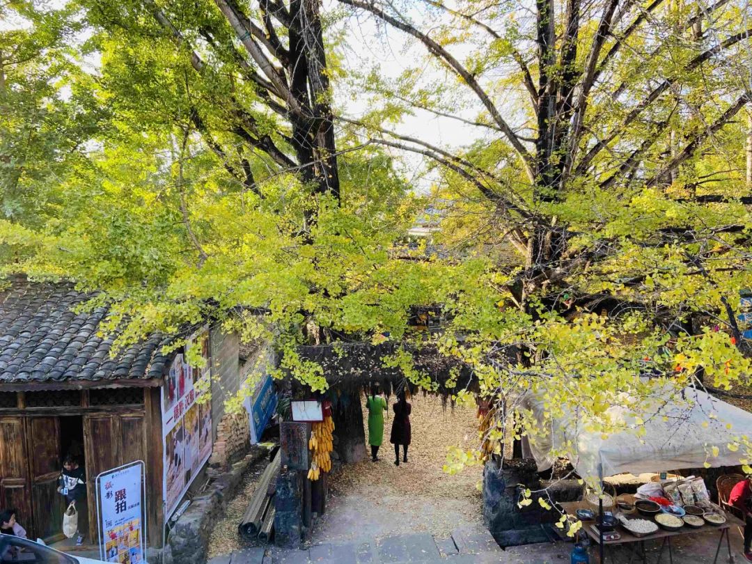 图/公众号“腾冲文旅”