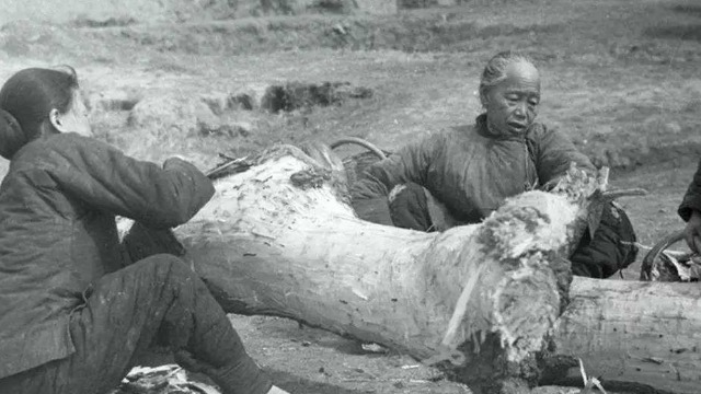 民国时期西安大饥荒究竟是怎样造成的