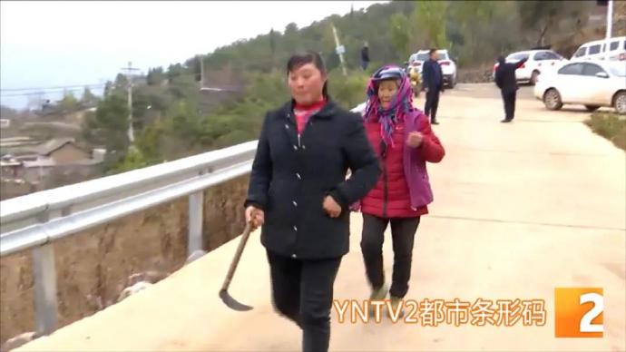 云南会泽多名小学生遭野猴袭击,家长持镰刀护送上下学