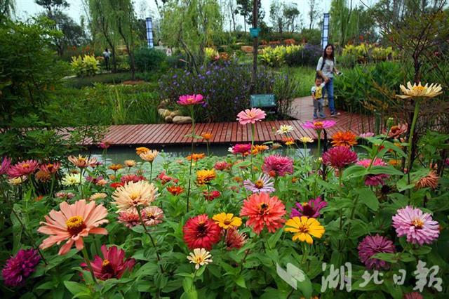 武漢市設(shè)立首批城市公園生態(tài)養(yǎng)護(hù)觀察示范區(qū)