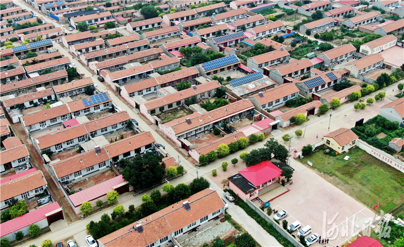 航拍下的张常丰村。河北日报记者 张昊 摄