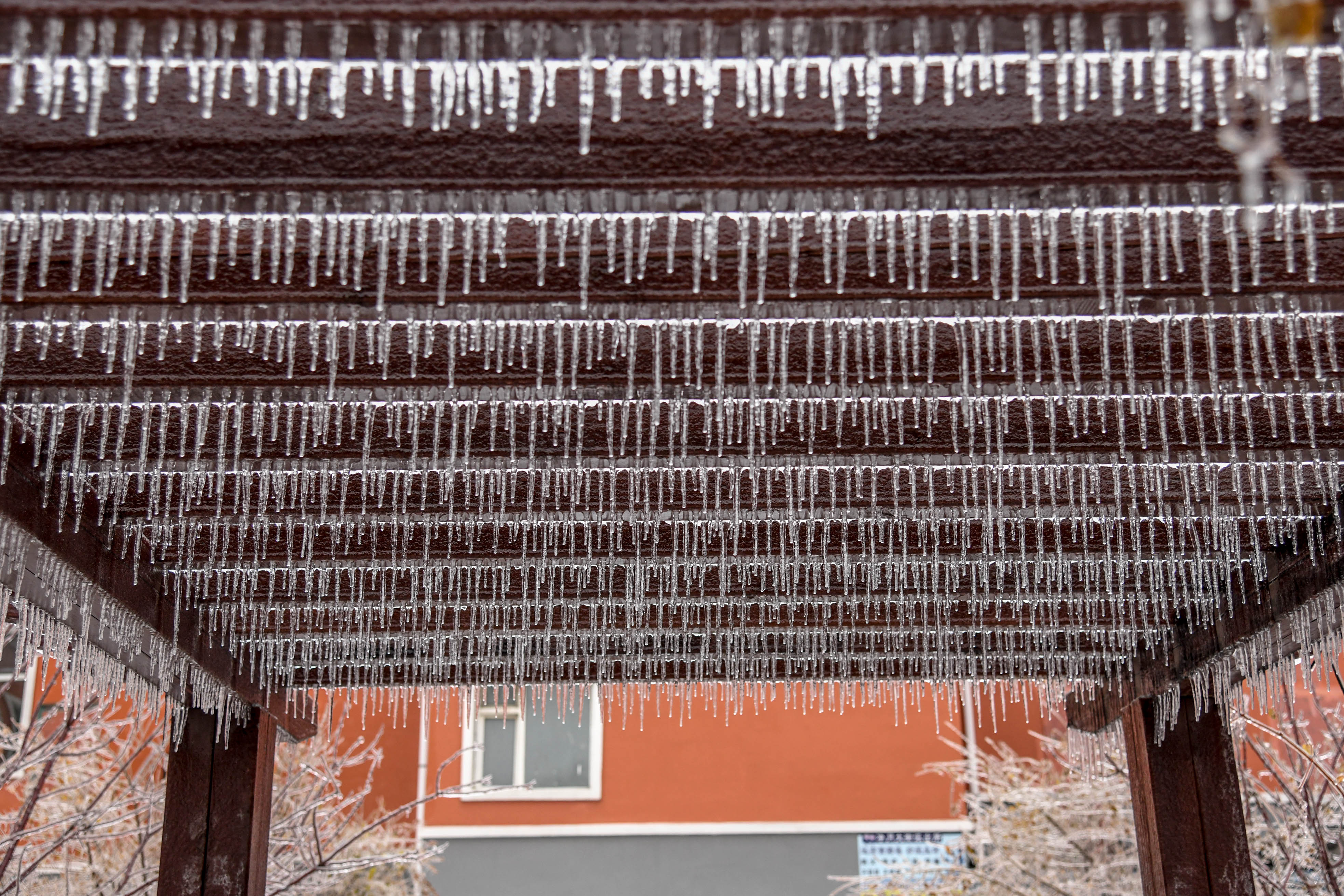 东北冻雨图片