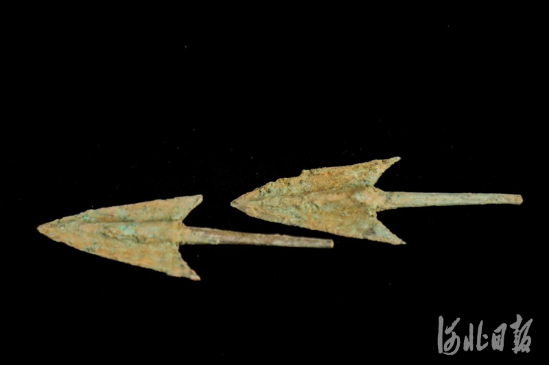 箭簇。 河北省文物考古研究院供图
