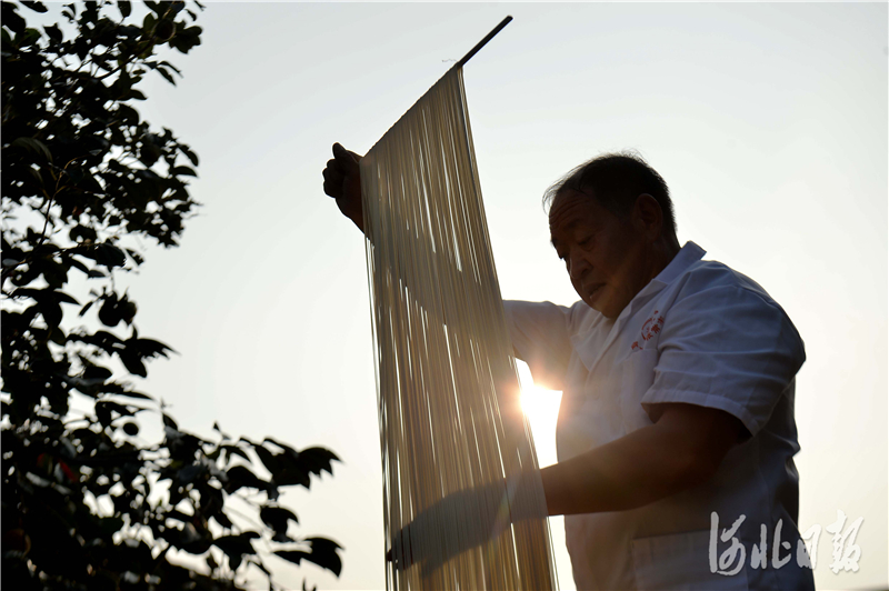 2020年9月24日，“面条哥”齐福田在院中晾晒挂面。河北日报记者 张昊 摄