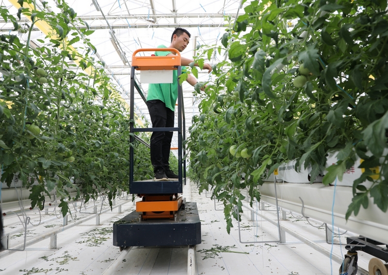 图为植保员在工作.