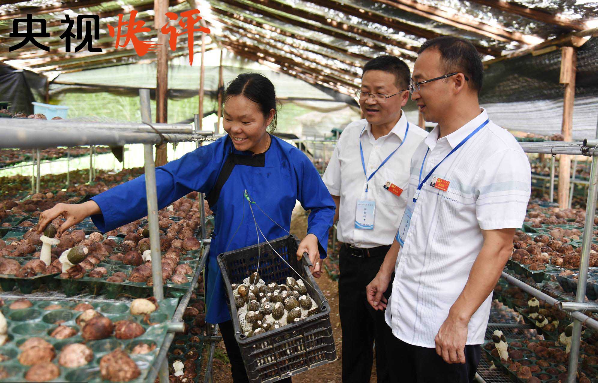 共有多少人口实现脱贫_脱贫攻坚图片